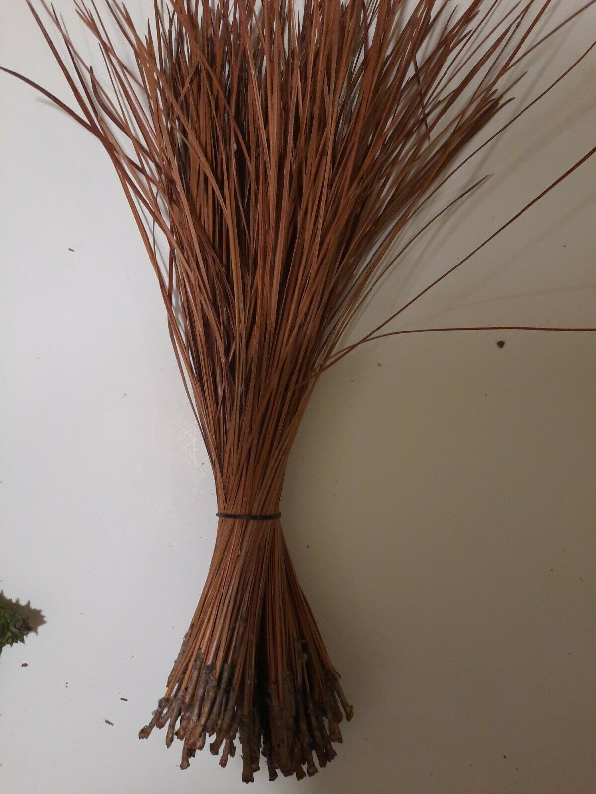 4lbs Long Leaf Pine Needles/pine Straw For Crafts, Baskets, Floral Arrangements.